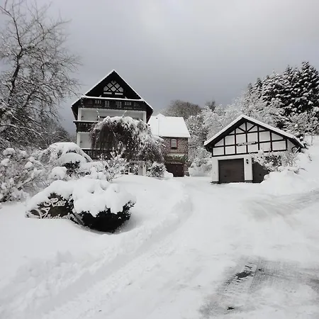 Haus Volkesbach 3* Лизен